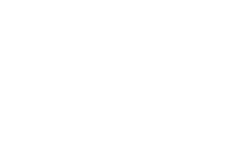 Pan American Silver